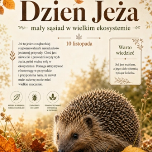 Gazetka szkolna na Dzień jeża Generator dyplomów