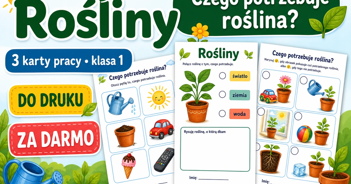 Karty pracy: Czego potrzebuje roślina?