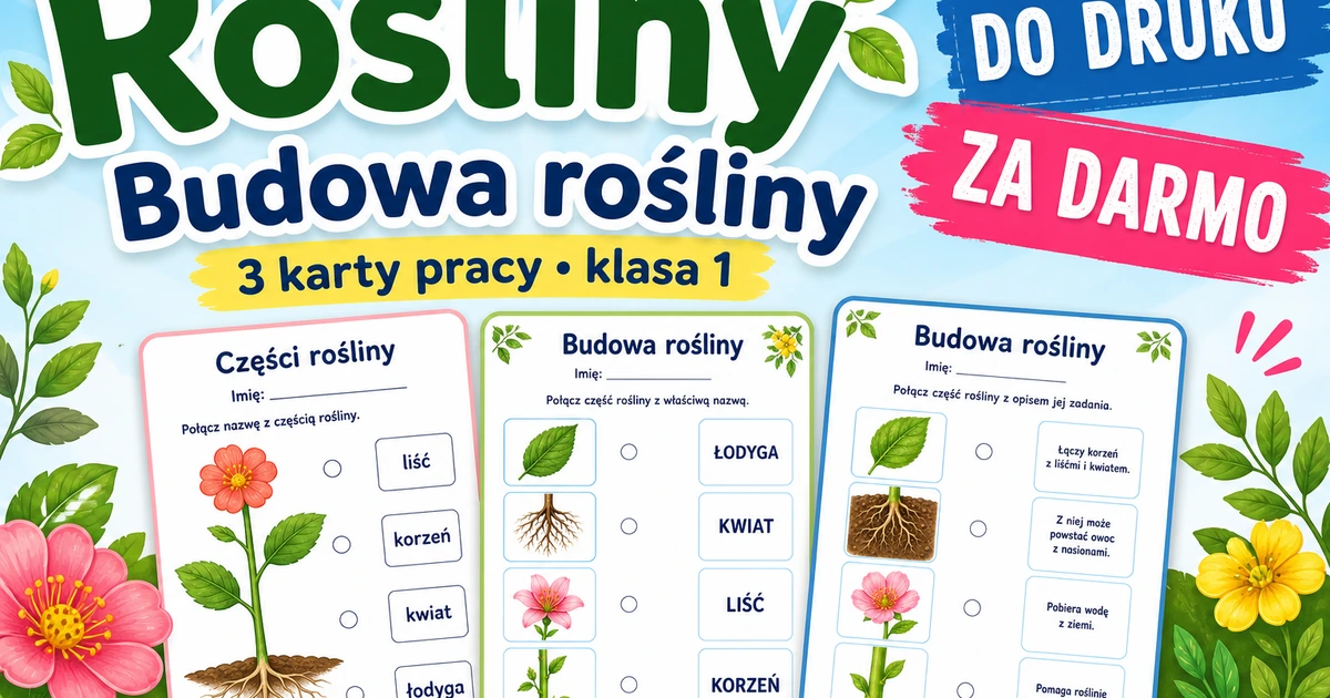 Karty pracy: Budowa rośliny