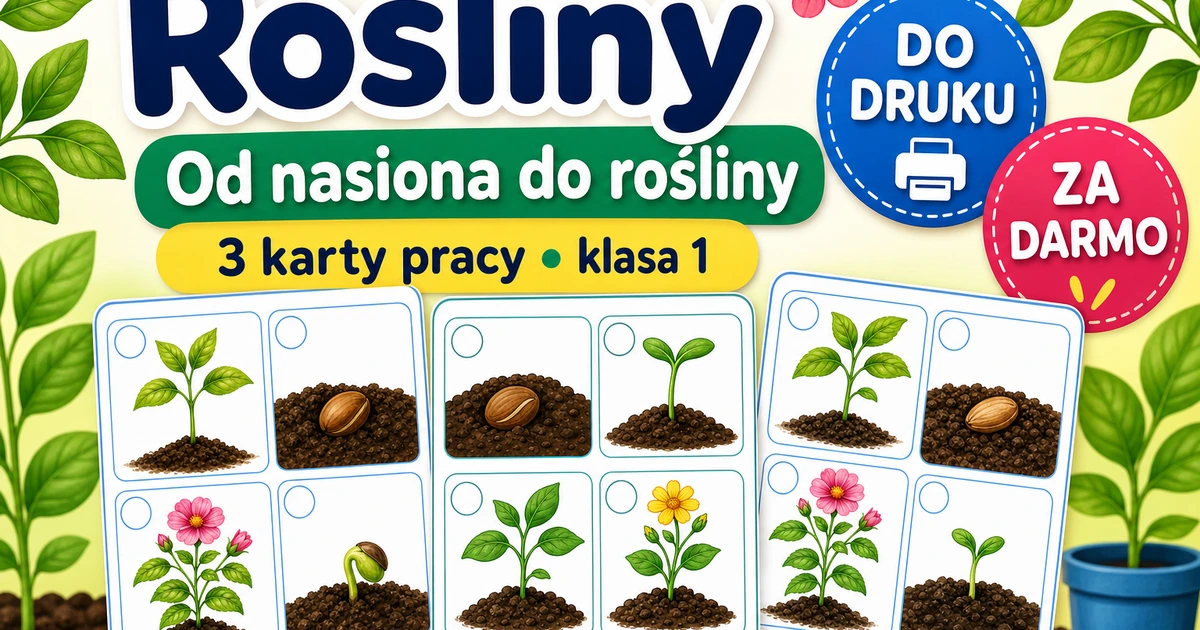 Karty pracy: Od nasiona do rośliny