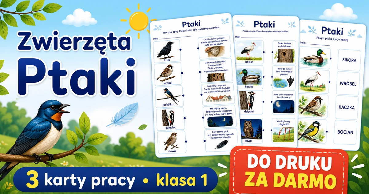 Karty pracy: Ptaki