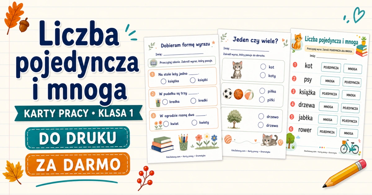 Liczba pojedyncza i mnoga