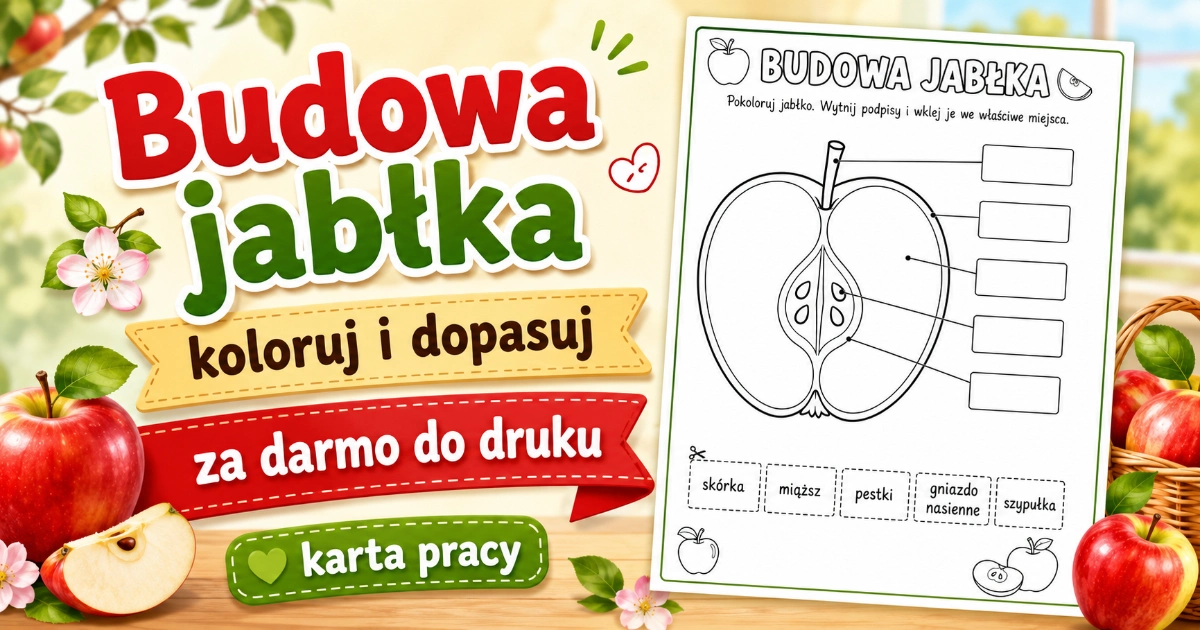 Budowa jabłka