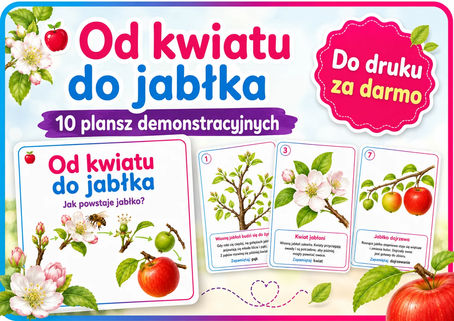 Plansze dydaktyczne: Od kwiatu do jabłka