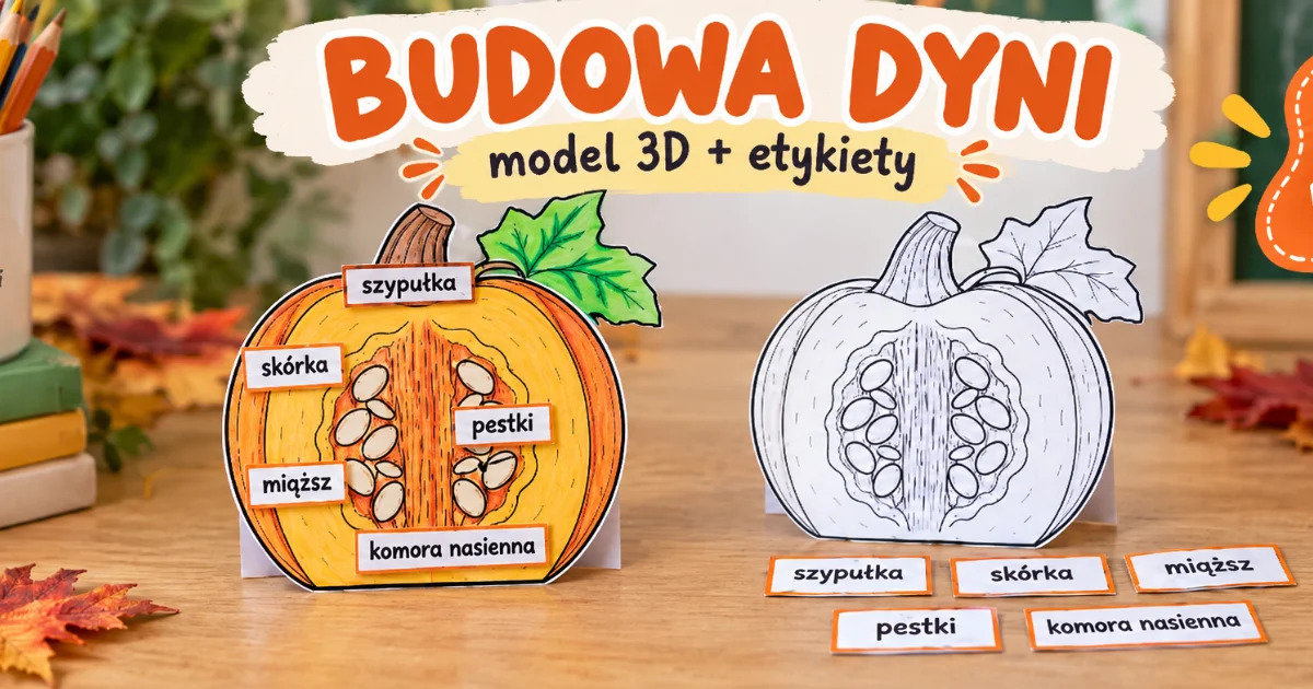 Budowa dyni – model 3D z etykietami do druku