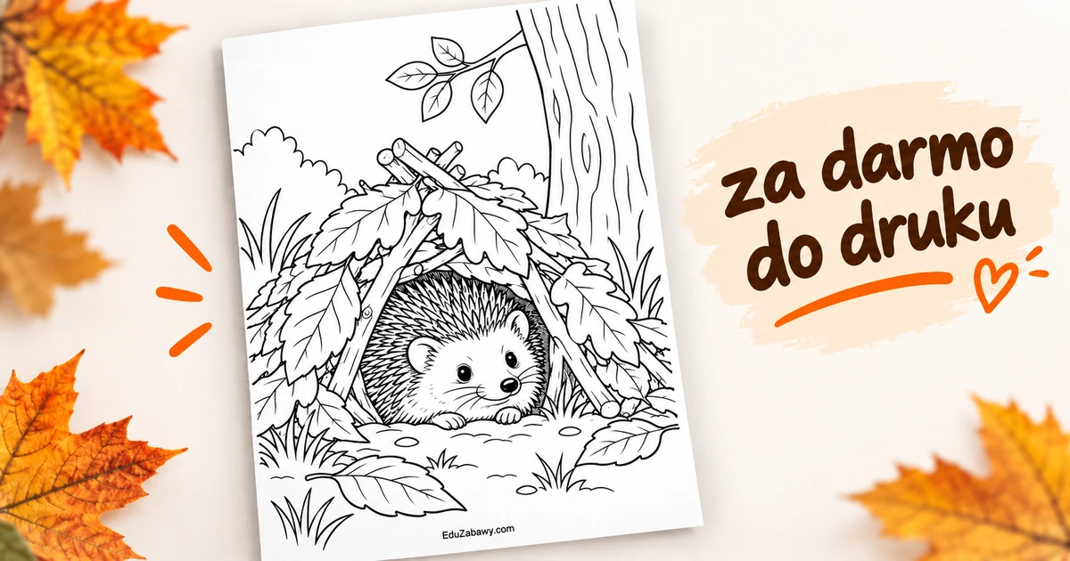 Gdzie mieszka jeż?