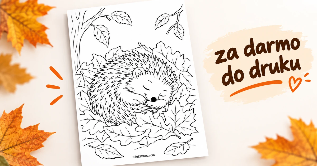 Śpiący jeż