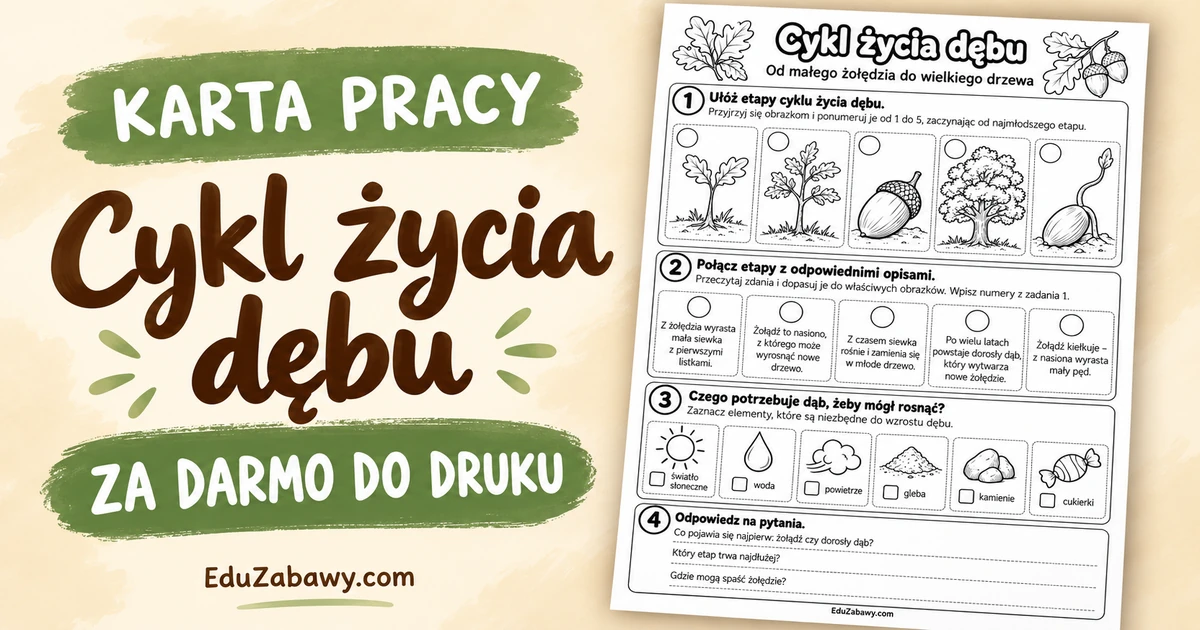 Karta pracy: Cykl życia dębu