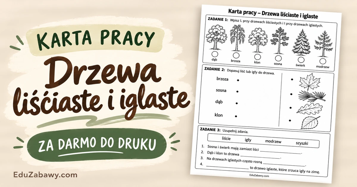 Karta pracy: Drzewa liściaste i iglaste