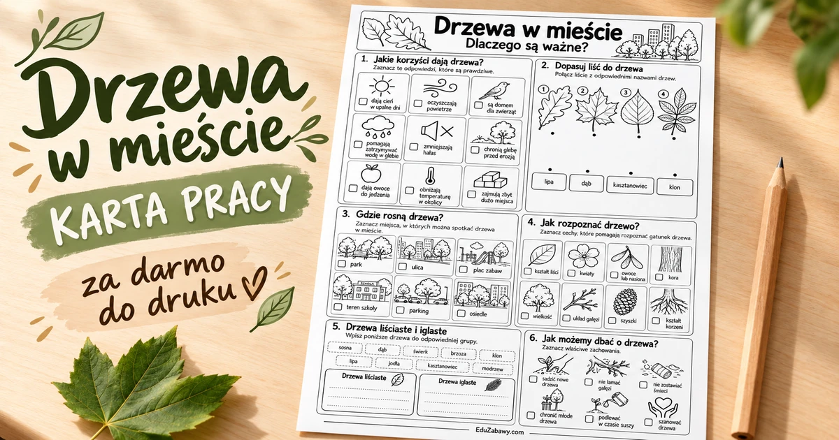 Karta pracy: Drzewa w mieście