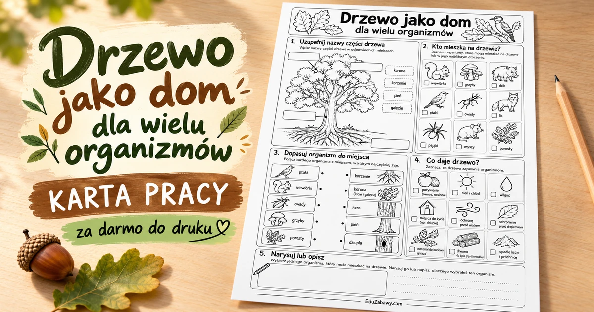 Karta pracy: Drzewo jako dom dla wielu organizmów