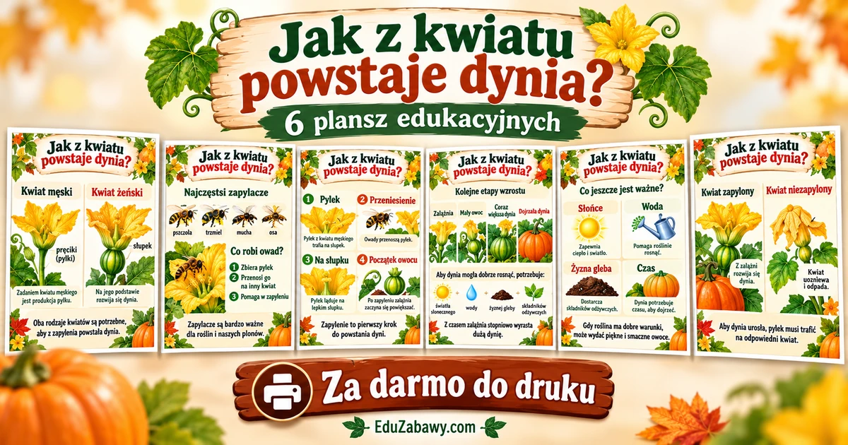 Plansze dydaktyczne: Jak z kwiatu powstaje dynia