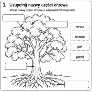 Karty pracy na Dzień Drzewa