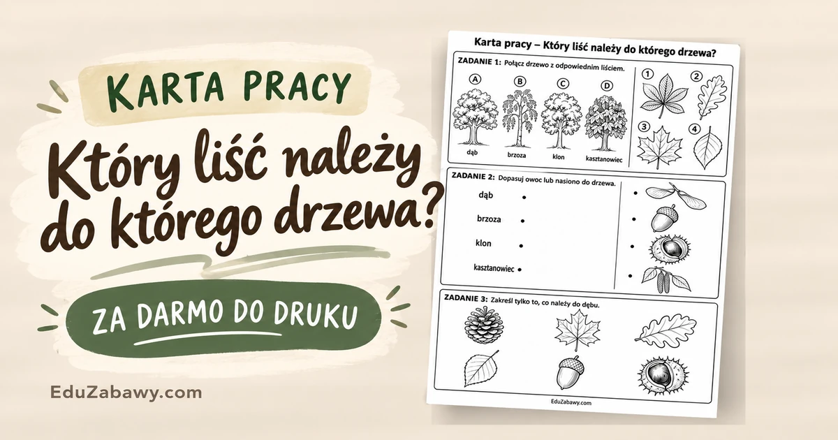 Karta pracy: Który liść należy do którego drzewa?
