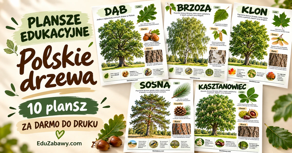Plansze dydaktyczne: Polskie drzewa