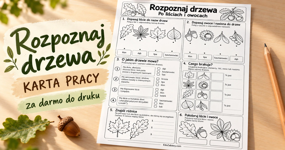 Karta pracy: Rozpoznaj drzewa po liściach i owocach