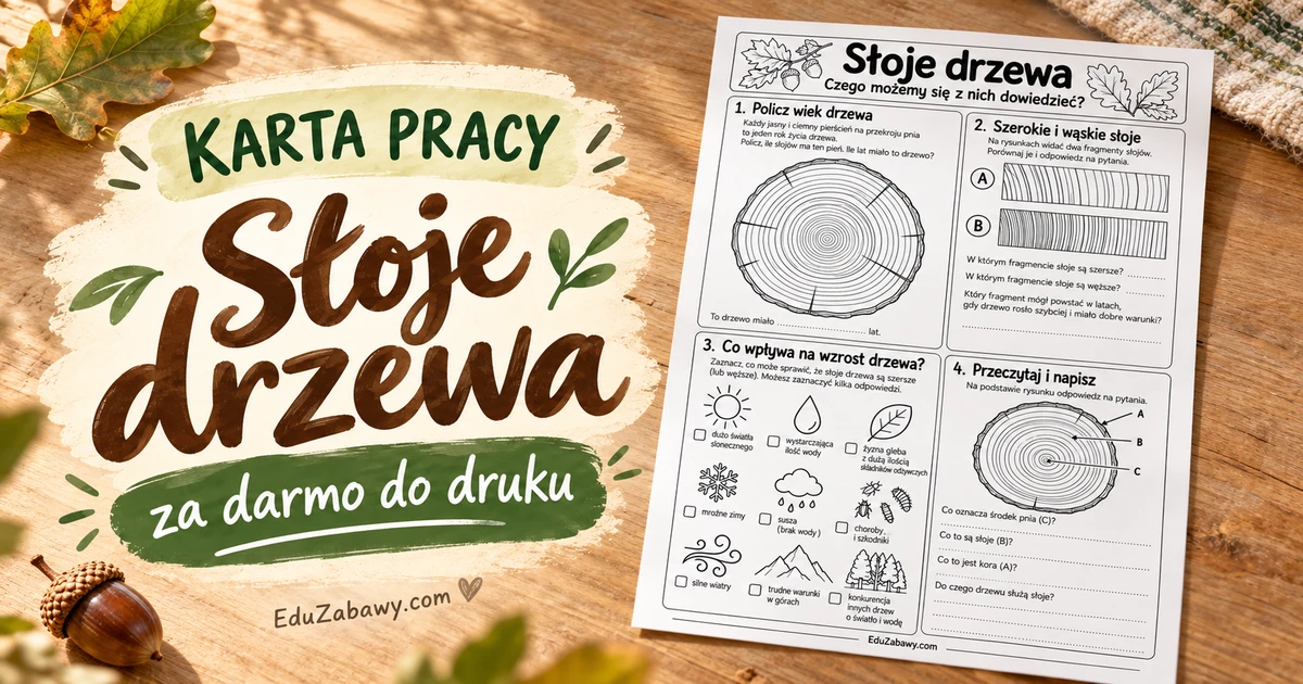 Karta pracy: Słoje drzewa